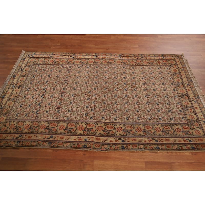 Pre-1900 Antique Afshar Persian Area Rug Vegetable Dye Wool Carpet - 4'0"x 6'1"