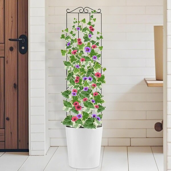 4 Pack 32'' Wave Shape Black Metal Trellis for Climbing Plants