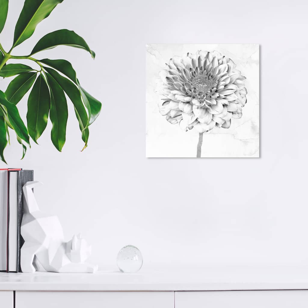 Wynwood Studio Canvas Floral and Botanical White Gray Chrysanthemum White and Farmhouse Wall Art Canvas Print - White, Black