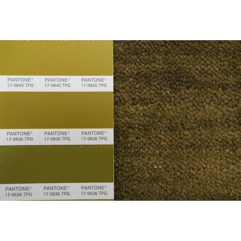 Hand Knotted Oriental 100% Wool Carpet Tribal Animal Pictorial Green Gabbeh Area Rug - 7' 9'' X 5' 1''