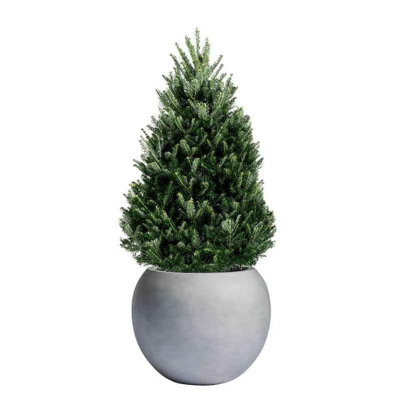 DreamPatio Riverside Fiberstone Composite Ball Planter for Indoor/Outdoor - Smooth Automotive 2K Coating