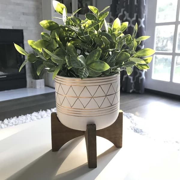 slide 2 of 4, Tea Plant in Ceramic Footed Pot - ONE-SIZE