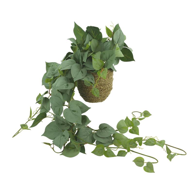Frosted Ivy Arrangement in Rope Pot - Green
