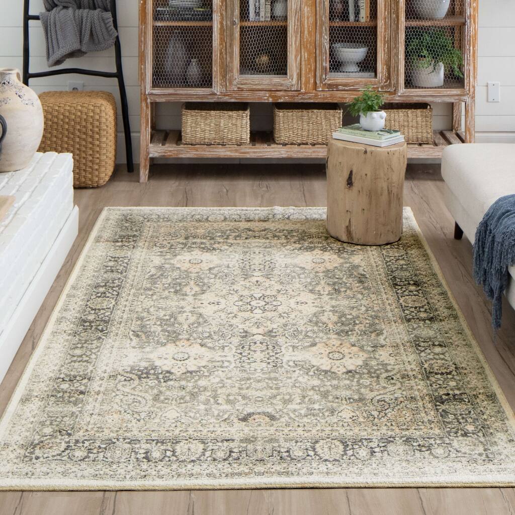 Mohawk Home Quinn Boho Medallion Area Rug
