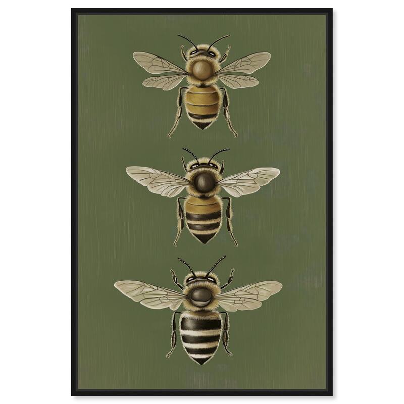 Anatomy of the Bee Canvas by Art Remedy - Black - 16" x 24"