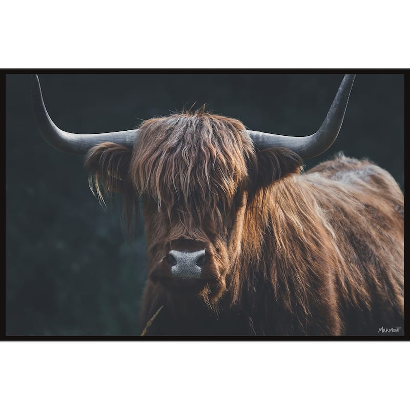 Thick Horns Floater Framed Print on Canvas