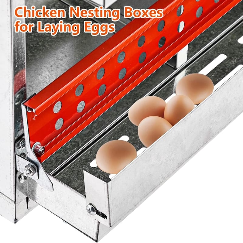 6-Hole Wall-Mounted Metal Chicken Nests Boxes Laying Eggs