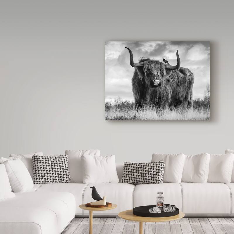 Ata Alishahi 'A Bull' Canvas Art