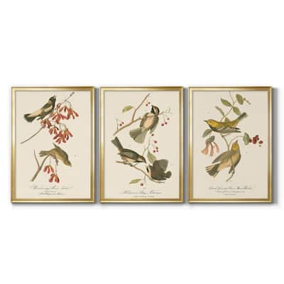 Wandering Rice Bird Premium Framed Canvas - Ready to Hang - Multi-Color