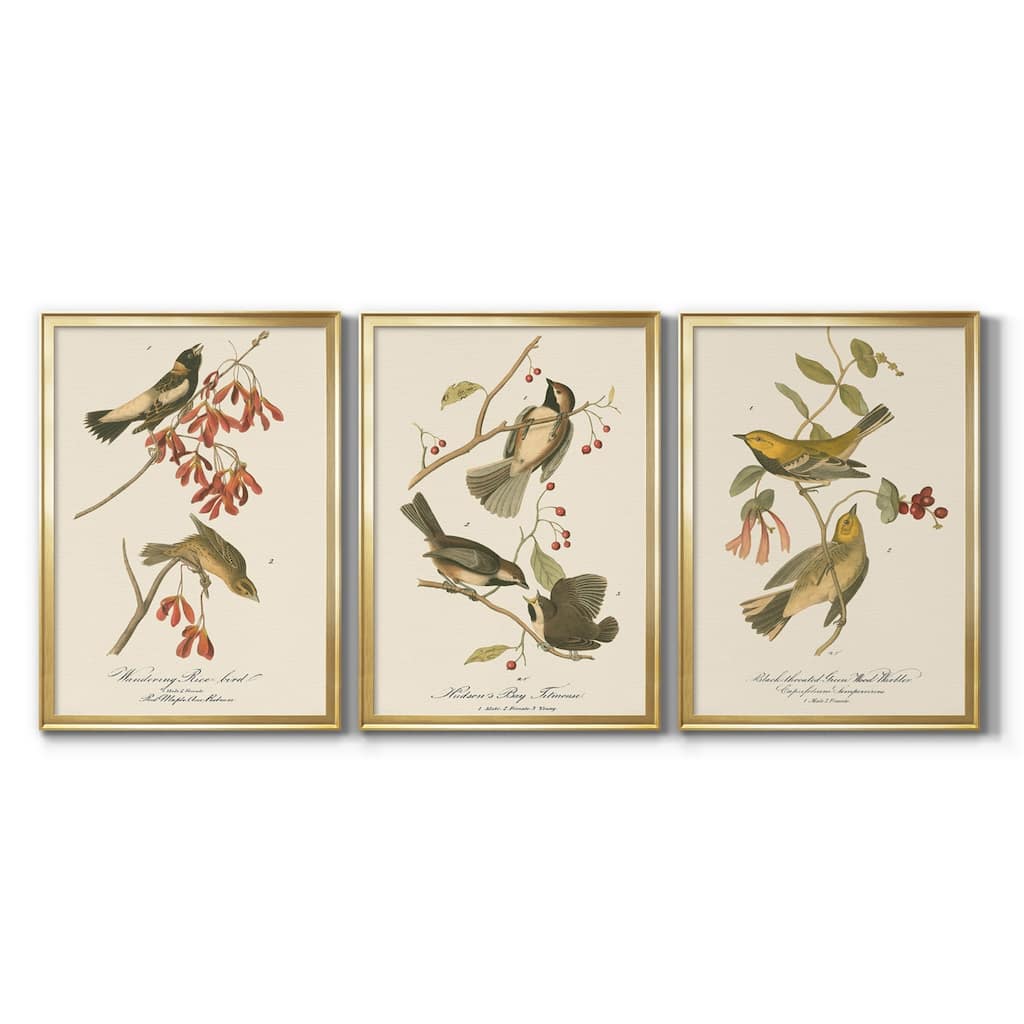Wandering Rice Bird Premium Framed Canvas - Ready to Hang - Multi-Color