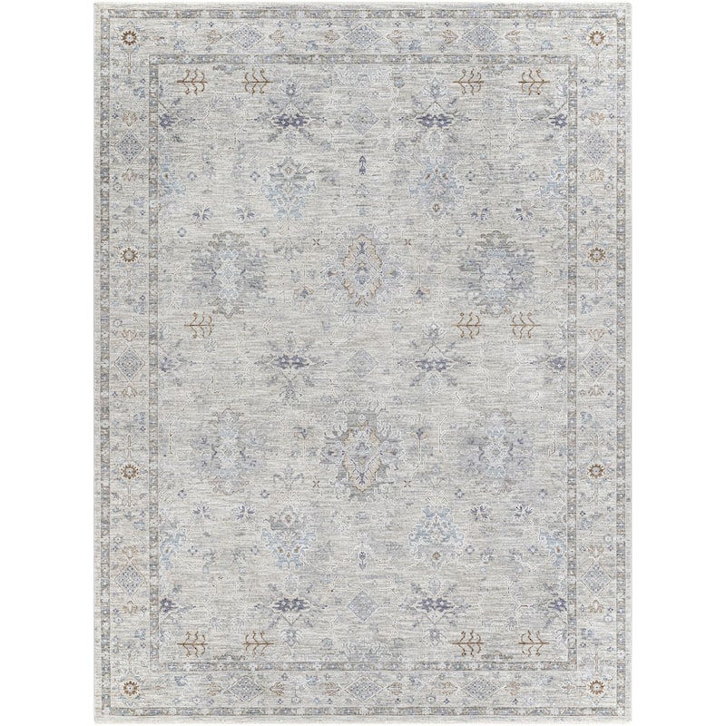 Hunza Updated Traditional Medallion Area Rug
