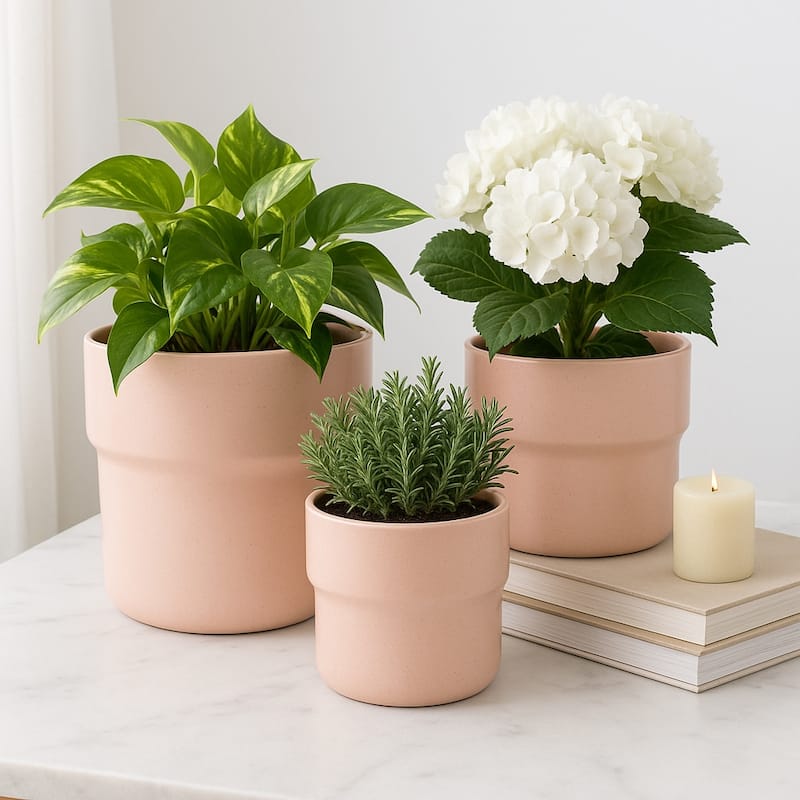 Ceramic Round Speckled Planters Set of 3 - Pink, 7/9/10 in. - Pink - 10.0"