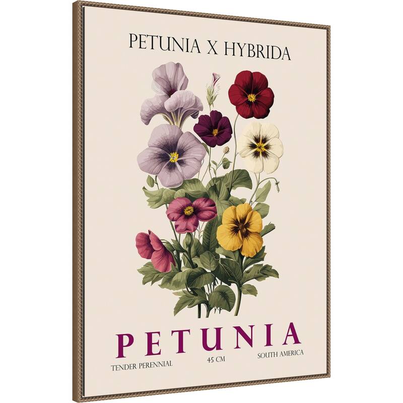 Vintage Botanical Petunia Illustration by Christopher Giampietro Framed Canvas Wall Art Print
