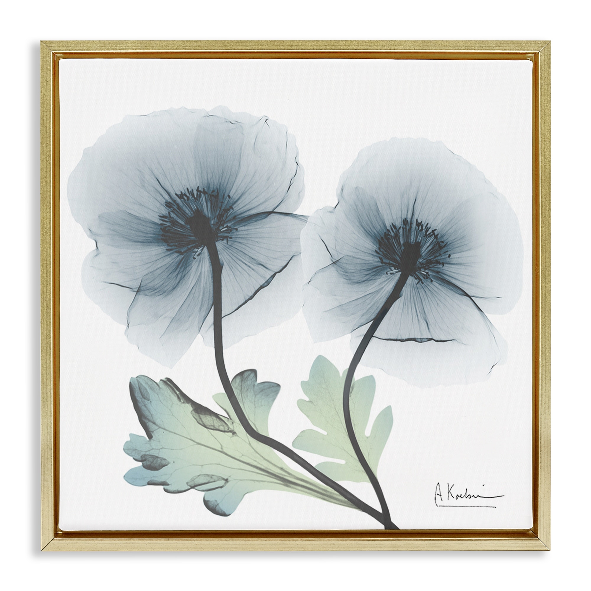 Stupell Sapphire Florals Duo Framed Floater Canvas Wall Art Design By Albert Koetsier