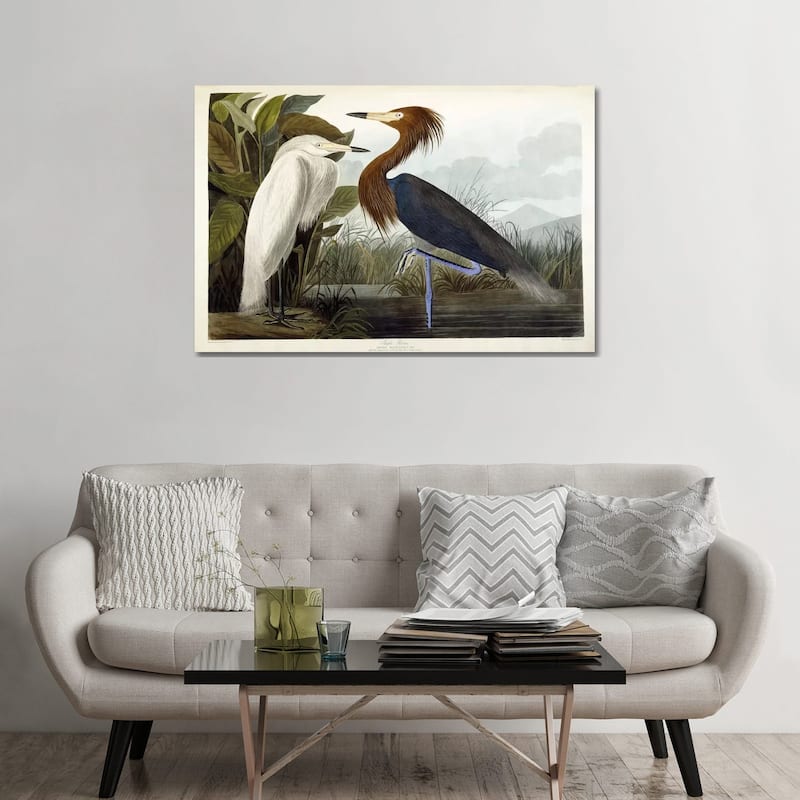 iCanvas "Purple Heron, c.1835" by John James Audubon Canvas Print - 32x48x1.5