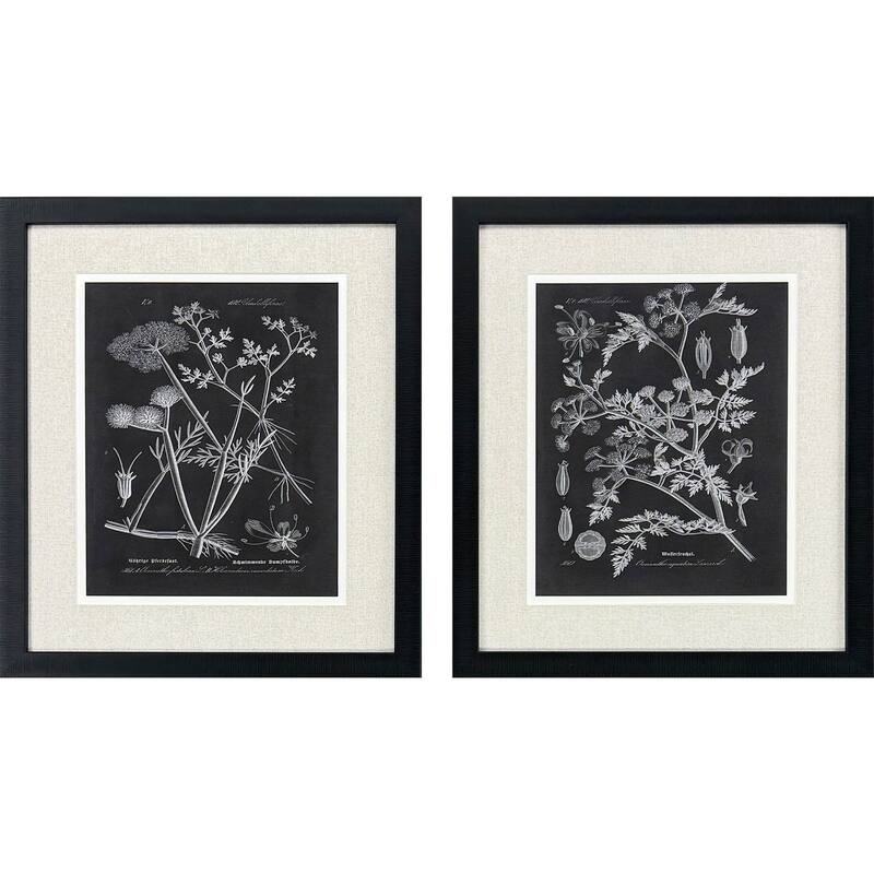 Paragon Mono Botanicals I Framed Art - Set of 2