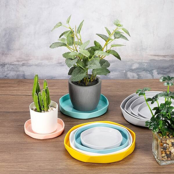 potted plants wedding Potted Plant Centerpiece main image 1