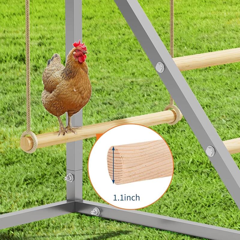 Chickens Roosting Bars for Coop