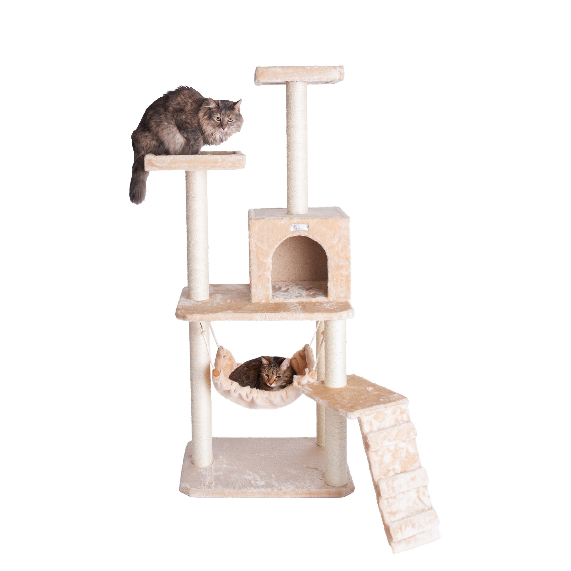 cat condo canada