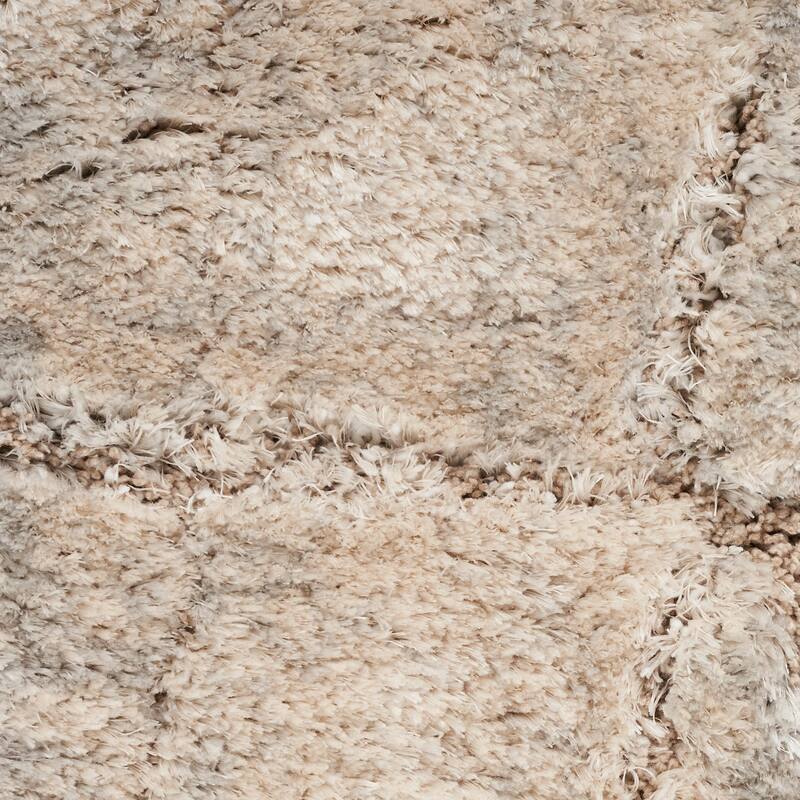 Nourison Dreamy Shag Indoor only Abstract Area Rug