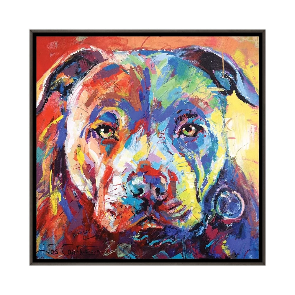 iCanvas "Staffordshire Bull Terrier" by Jos Coufreur Framed