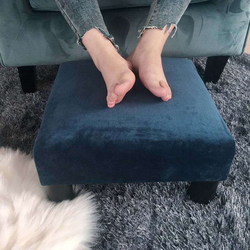 Adeco Ottoman Upholstered Fabric Footrest Pet Steps Dog Stair Stool