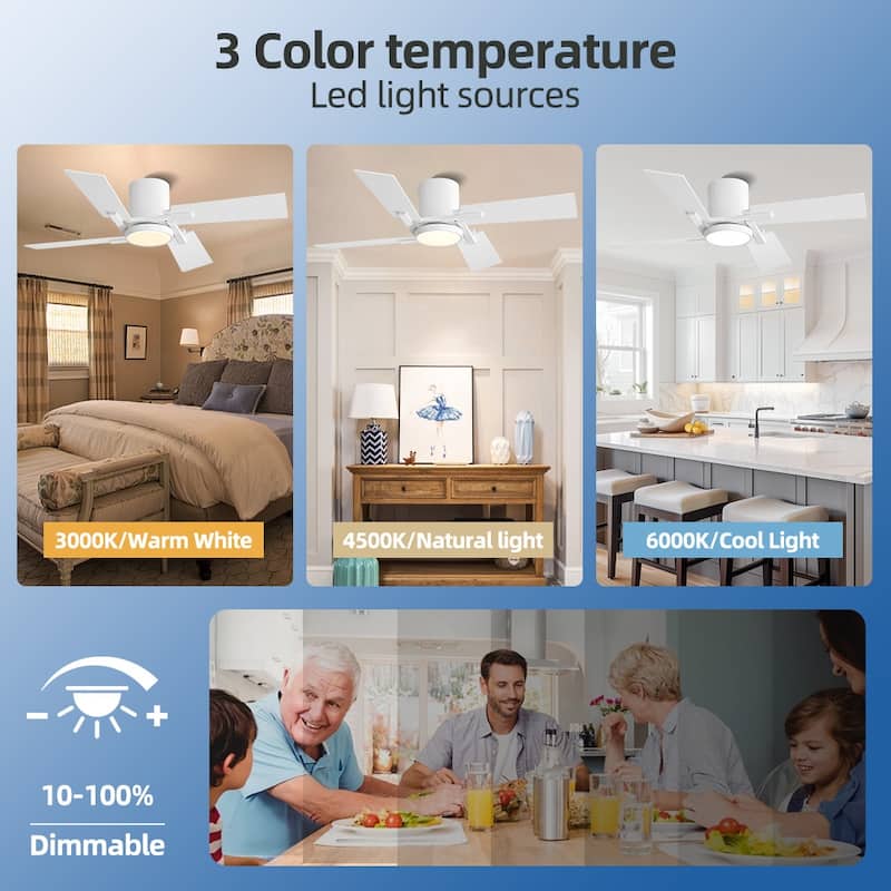 48Inch 4 Two-color Fan Blades Dc Motor Indoor Ceiling Fan With Light Kit And Remote