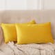 Option Lemon Yellow
