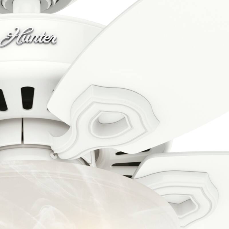 Hunter 42" Builder Ceiling Fan with LED Light Kit and Pull Chain