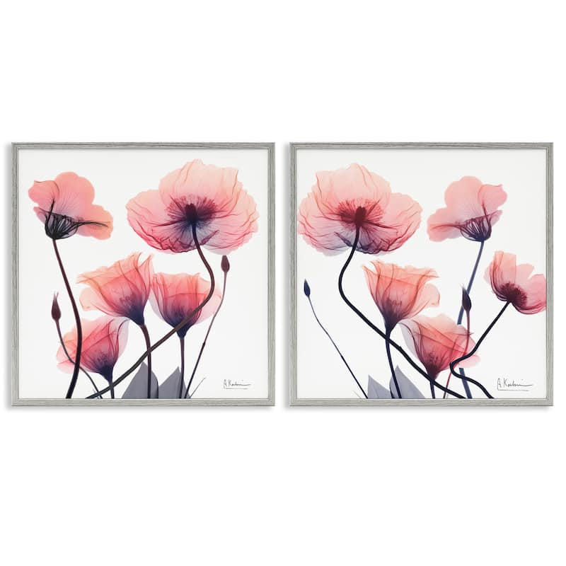 Stupell Various Faded Pink Flowers Framed Giclee Art Design By Albert Koetsier (Set of 2) - 24 x 24 - Grey