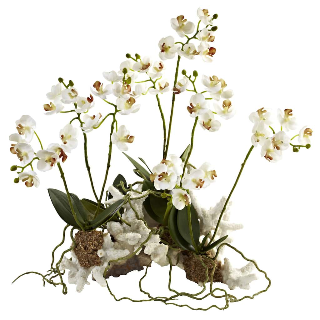 Boho Flower Vase Set - Tropical Decor, Coral Base, 14" Tall Indoor Plant Pot - White - 13