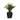 Agave Artificial Green/Yellow Faux Botanical - 26 Inch