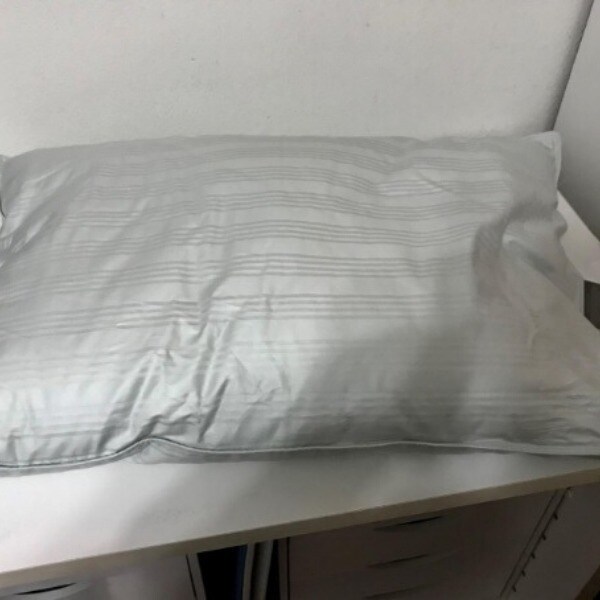 Shop Extra Soft Stomach Sleeper Blue Damask Cotton White Down