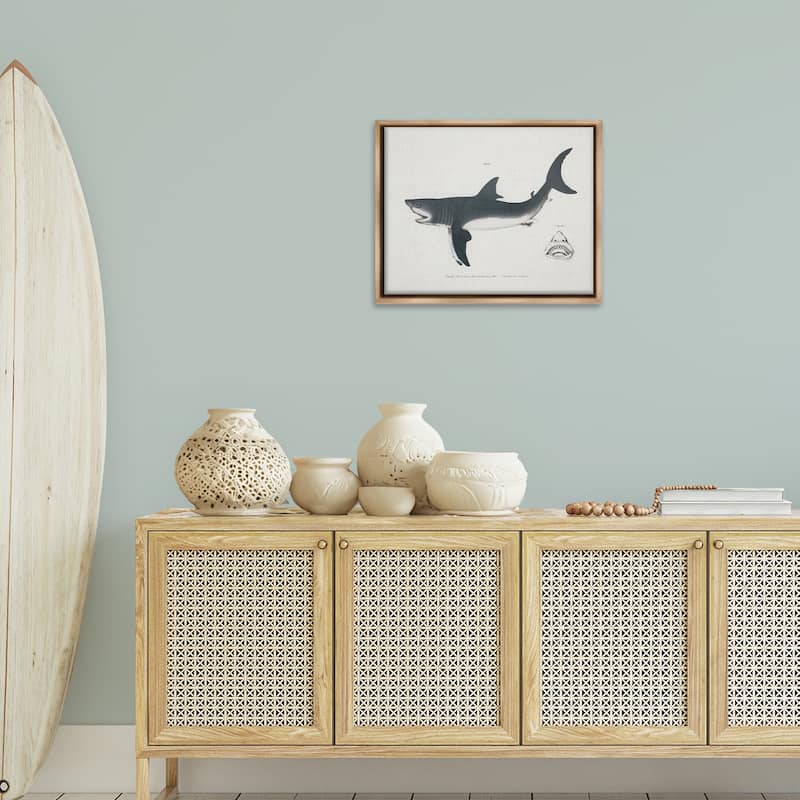 Stupell Detailed Shark Diagram Framed Floater Canvas Wall Art Design By Phillipa Katz