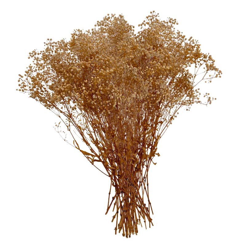 Bundle of 4 Preserved Gypsophila, Baby's Breath,24" long - 24 inch