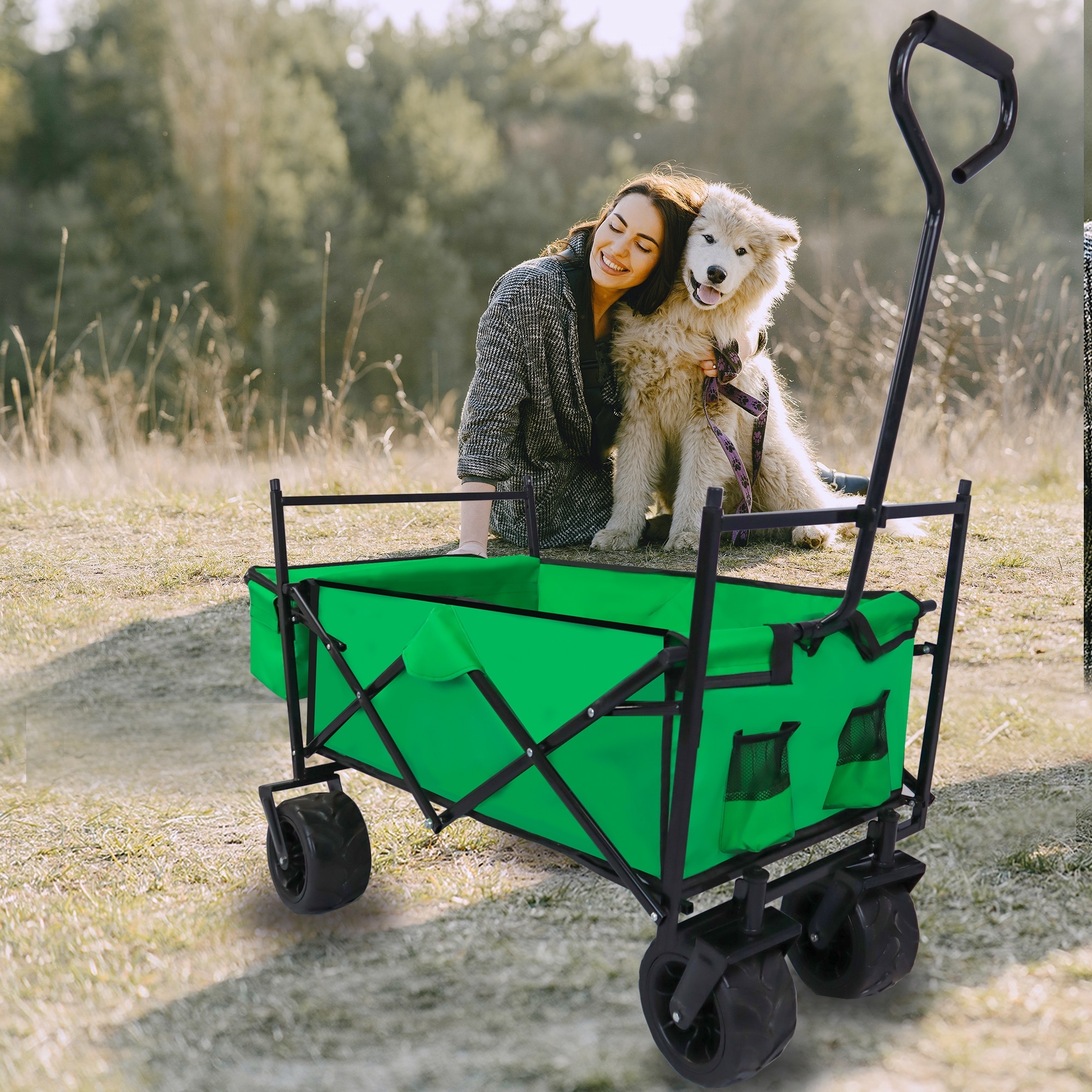 Folding beach wagon with canopy cheap