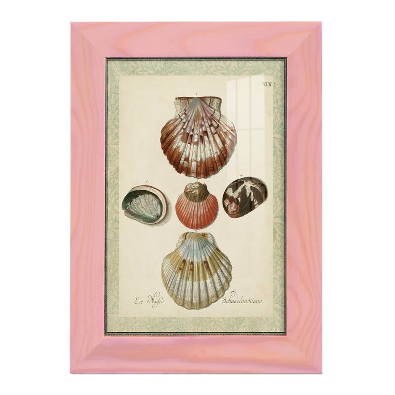 Bookplate Shells III -Framed Print w/glass-Cherry Red