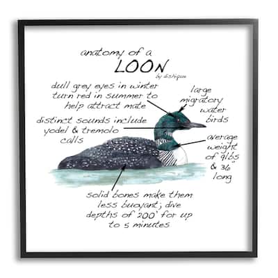 Stupell Loon Water Bird Anatomy Chart Educational Wildlife Facts Framed Wall Art, Design by Dishique - Grey