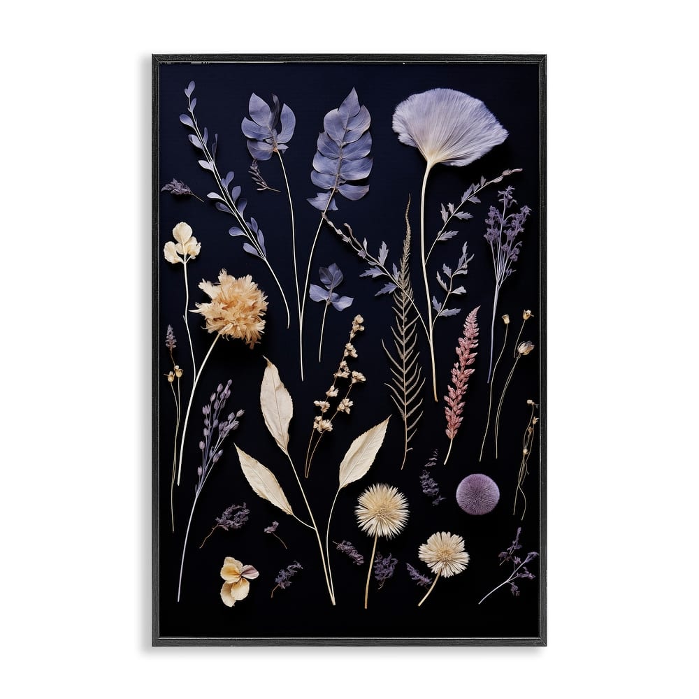 Stupell Various Sprigs on Black Framed Giclee Art Design By Heidi Kuntz