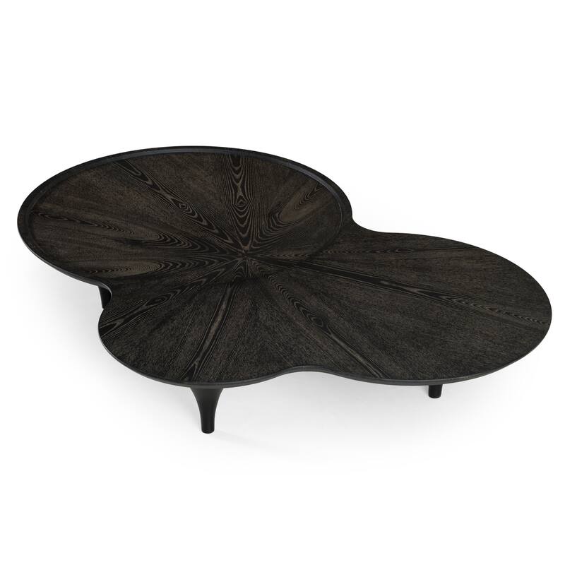 Modrest Beulah Modern Free Form Black Ash Coffee Table
