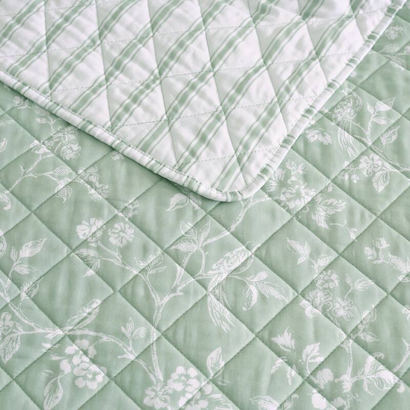 Martha Stewart French Bird Floral Green Cotton Reversible Quilt Set