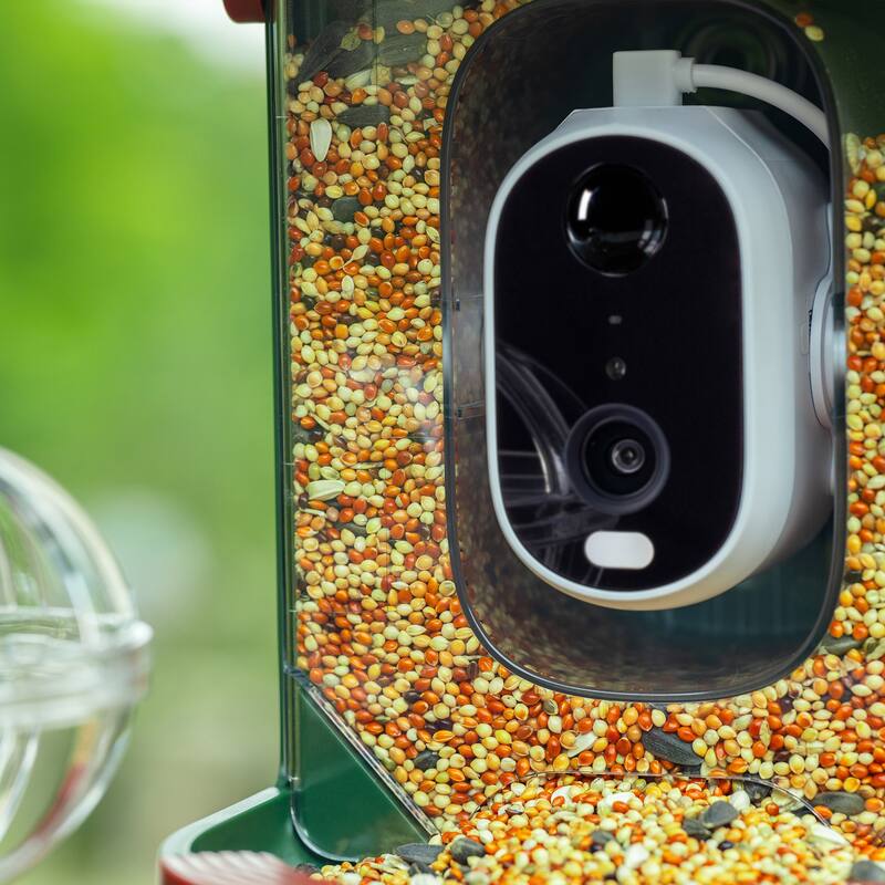 Smart Solar-Powered Bird Feeder with Camera, AI Recognition,144° Wide-Angle Lens and App