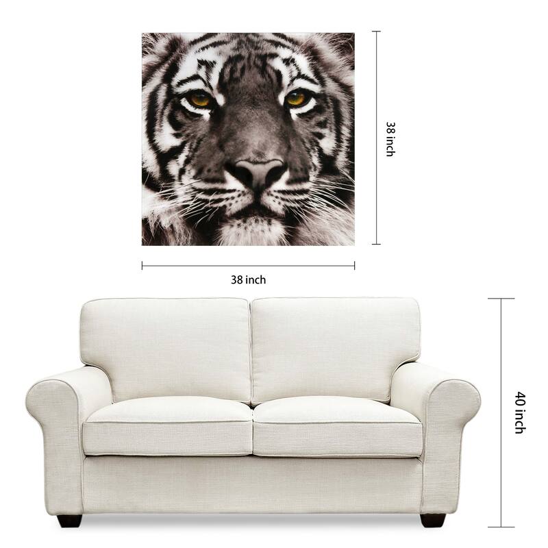"Eye of the Tiger" Frameless Free Floating Tempered Glass Panel Graphic Wall Art