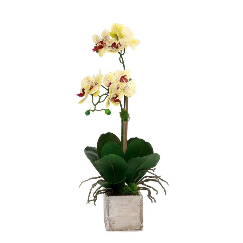 Yellow Real Touch Orchid Flower Arrangement in White Rectangular Pot