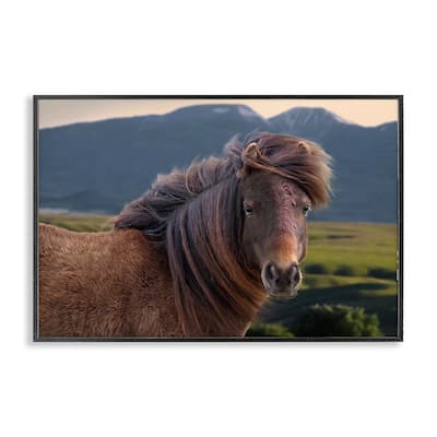 Stupell Windblown Mare in Mountain Valley Framed Giclee Art Design By Steve Toole