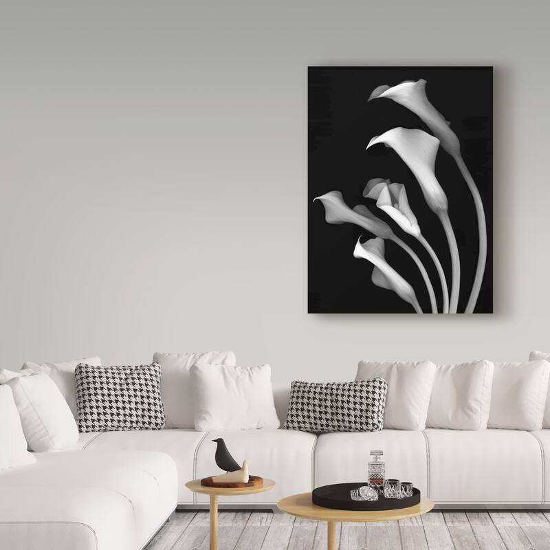 Susan S. Barmon 'Calla Lilies 3 Black And White' Canvas Art