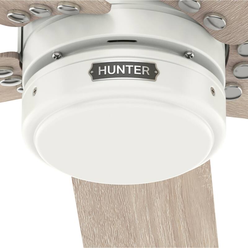 Hunter 52" Burton Outdoor Ceiling Fan and Wall Control - Farmhouse, Industrial, Transitional - Damp Rated - Exclusive SureSpeed!