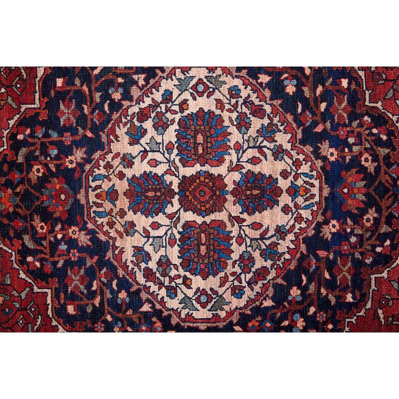 Birchlawn R39HD Medallion Transitional Area Rug