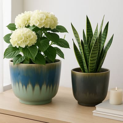 Ceramic Stone Planter Pots with Drainage Holes and Glossy Glazed Finish