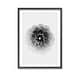 preview thumbnail 1 of 1, "X-Ray" Framed Print Wall Art by Alex Zhao